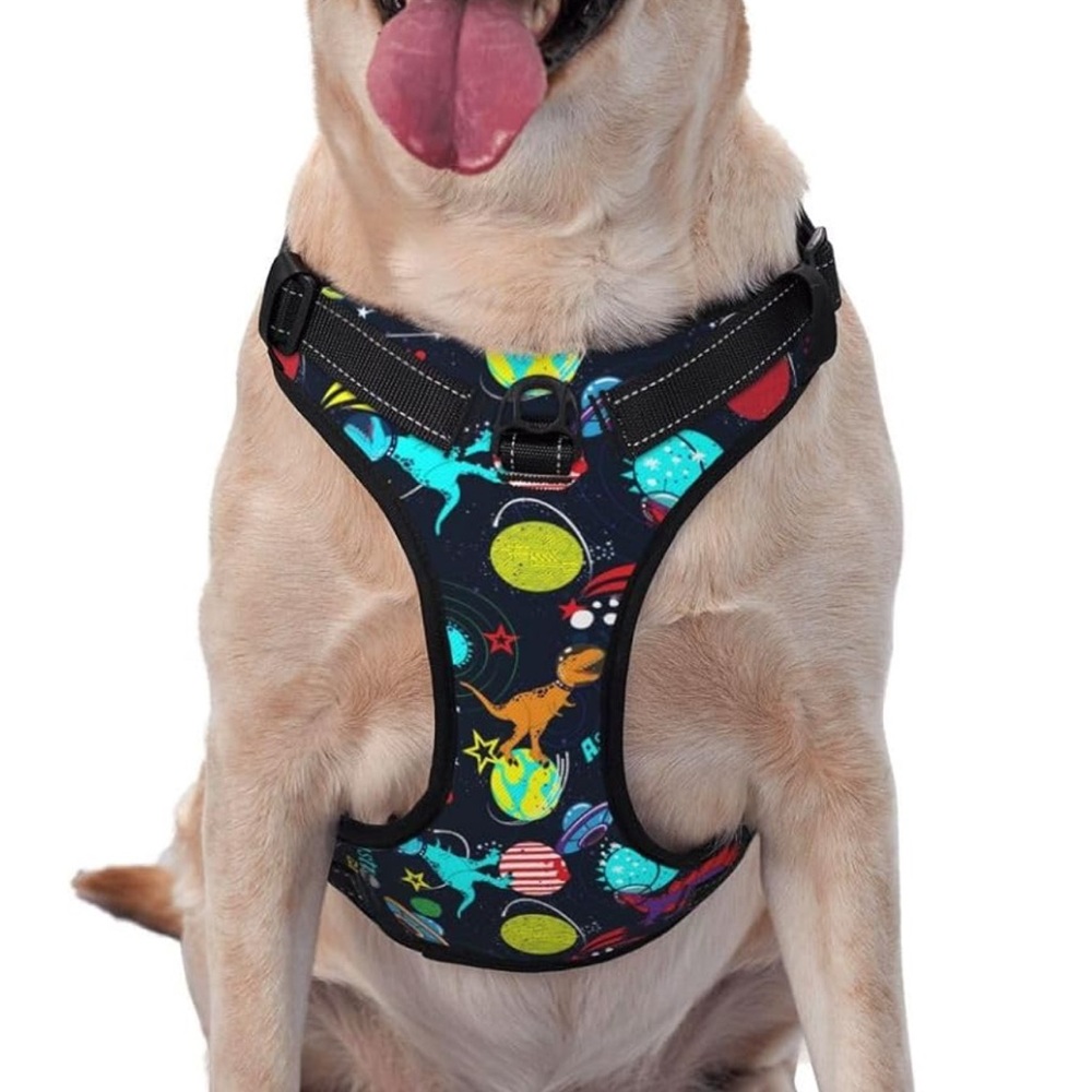 No Pull Dog Harness w/ leash
